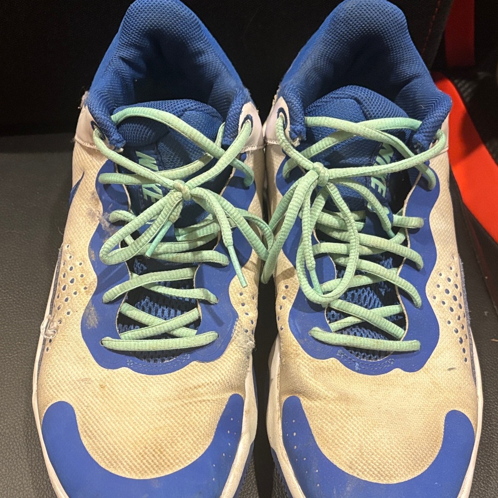 Men’s  Blue and White Athletic Shoes